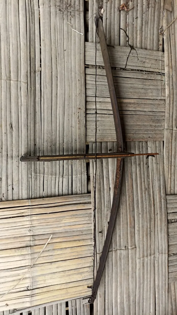 𞋚𞋀𞋊𞋉𞋞𞋬