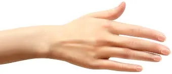 𞋃𞋁𞋔