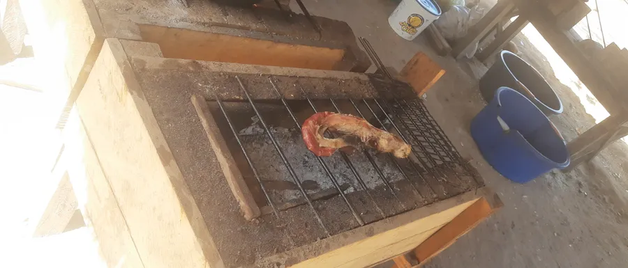 puuno