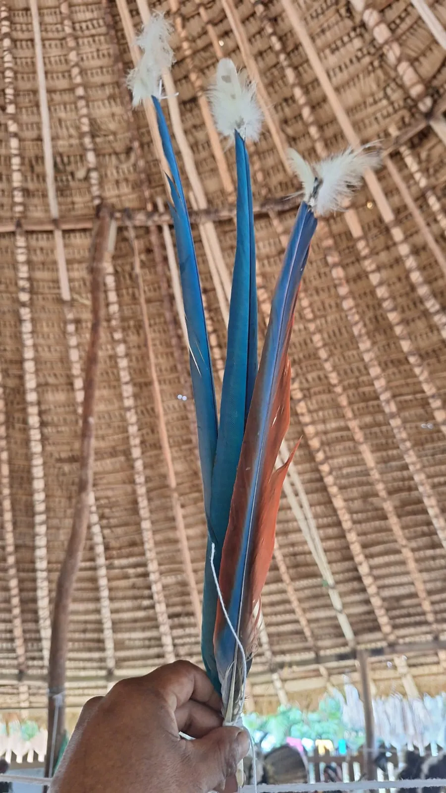 kuyayamu