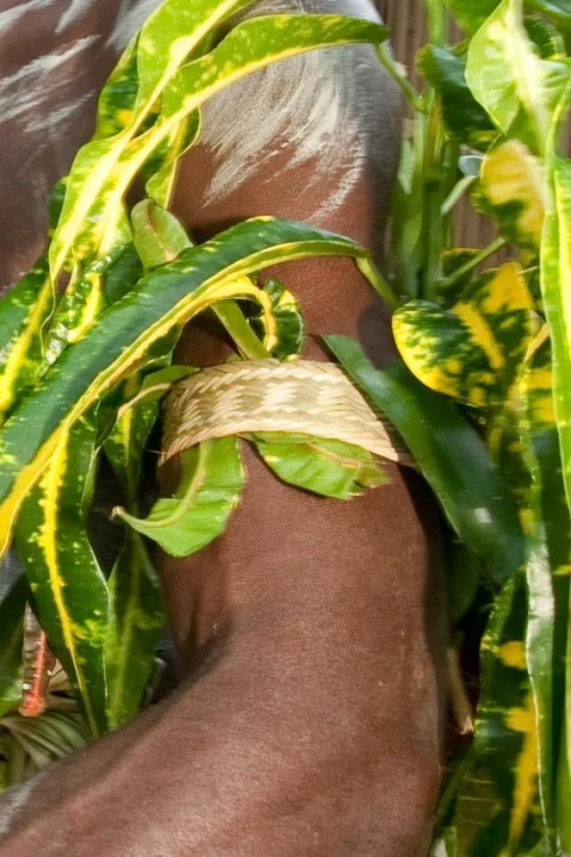 kalabagum