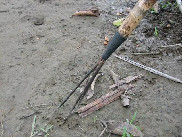 kabaŋ