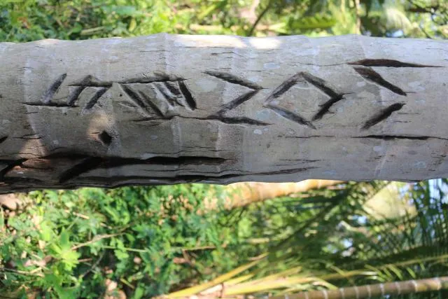 woŋks