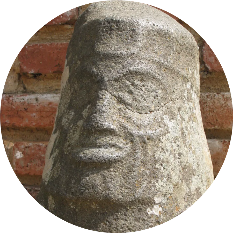 Bëni Xidza Logo